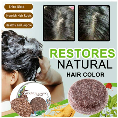 🍃Organic Grey Reverse Shampoo Bar-Natural Organic Conditioner And Repair Care 🍃(PACK OF 2)