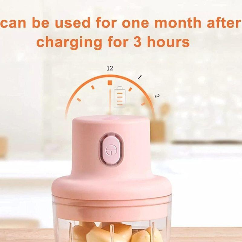 Premium Quality Fully-Automatic Mini Chopper