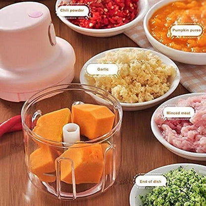 Premium Quality Fully-Automatic Mini Chopper