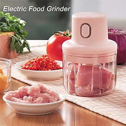 Premium Quality Fully-Automatic Mini Chopper