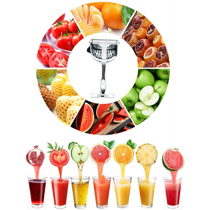 Swadish Juicer - Heavy Duty Instant Fruit Juicer