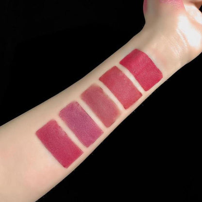 Premium 5 in 1 Matte Lipstick *FAB 5 Special edition*